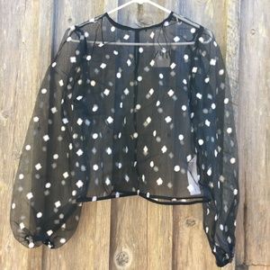 NWT Zara See-through Embroidered Blouse